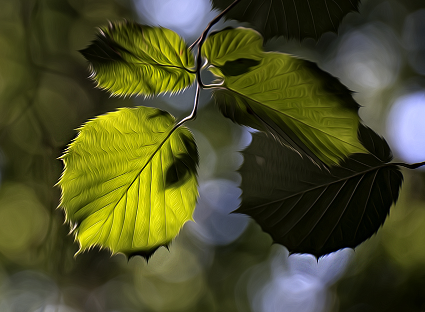 4711 WTL Garten Bahnhof Loh_KA70491-1 Kopie.jpg